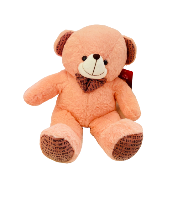 Teddy bear plushie