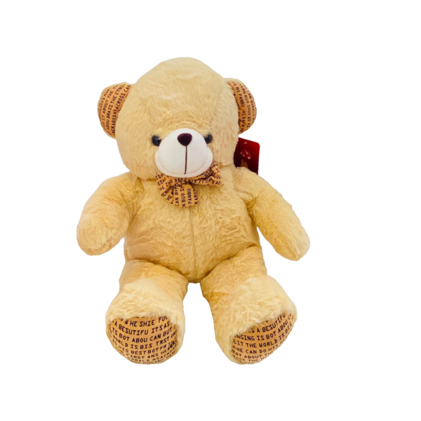 Teddy bear plushie