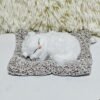 Sleeping cat on mat (Medium)