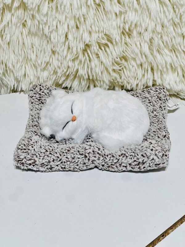 Sleeping cat on mat (Medium)