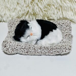 Sleeping cat on mat (Medium)