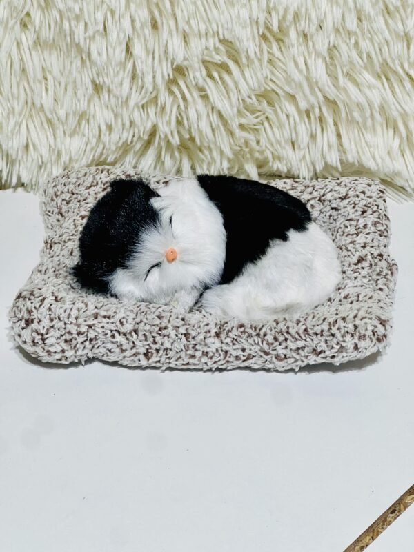 Sleeping cat on mat (Medium)