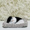 Sleeping cat on mat (Medium)