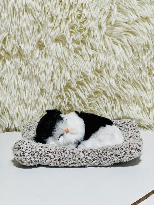 Sleeping cat on mat (Medium)